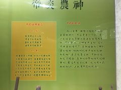 -广东中医药博物馆