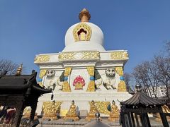 -护国法轮寺