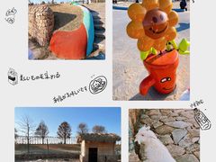 -上海辰山植物园