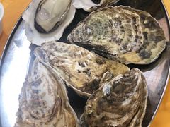 -蚝专家(北滘店)