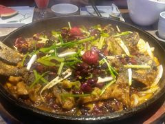 -老板恋上鱼(恒隆广场店)