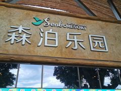 -杭州开元森泊度假乐园