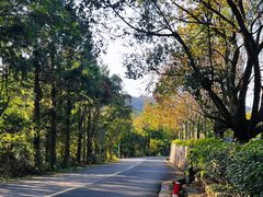 -东钱湖旅游度假区