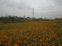 -紫颐香薰山谷景区