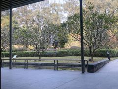 -南宁荔园维景国际酒店·荔园中餐厅