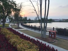 -上海长兴岛郊野公园