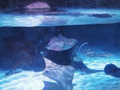 -沈阳海洋探索中心