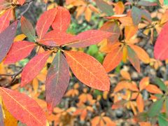 -野三坡百草畔景区