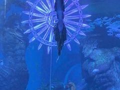 -哈尔滨波塞冬海底世界