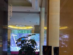 -成都保利公园皇冠假日酒店(熊猫基地店)