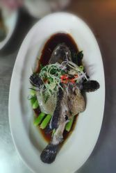 -伊莎贝拉婚礼庄园(顾村店)