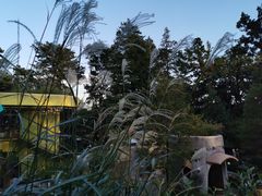 -三鹰之森吉卜力美术馆