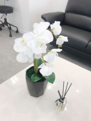 -芙芬芳·半永久纹眉（深圳旗舰店）