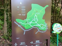 -上海佘山国家森林公园天马山园