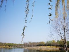 -东郊湿地公园