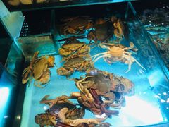 水产区-金翠皇宫粤菜·点心·海鲜(科技园店)