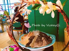 毛肚双拼-青瓷火锅料理(西单大悦城店)