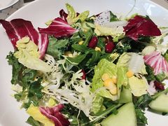 果蔬脆爽沙拉-悦融琥珀·京鲁菜·海味珍品(西单店)