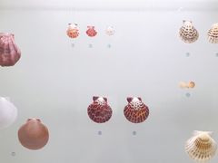 -青岛贝壳博物馆