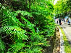 -高榜山景区