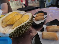 -都念榴莲·城市榴莲