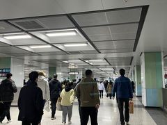 -宋家庄(地铁站)