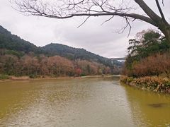 -黔灵山公园