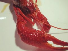 -宁海食府(大剧院店)