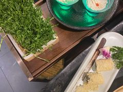 活体豌豆苗-捞王锅物料理(凯旋路店)