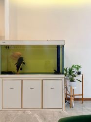 -FUMEIHUI·科技美肤·美体SPA