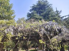 -白塘生态植物园