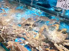-蚝得喜海鲜(东城店)