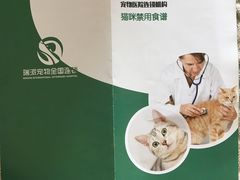 -瑞派长江宠物医院·猫科·外科·24小时夜护(谊城公寓分院)