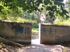 -紫金山山顶公园