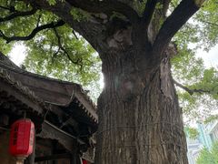 -胡氏民居-天水民俗博物馆