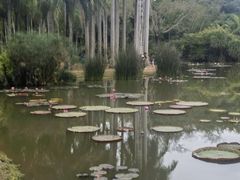 -中国科学院西双版纳热带植物园