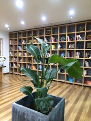 -元泉瑜伽培训学院