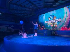-石家庄海洋公园