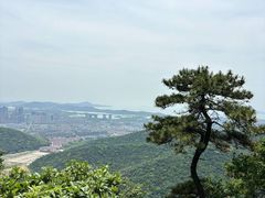 -惠山国家森林公园