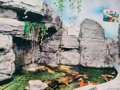 -嘉兴海底世界