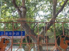 -光明邨大酒家(淮海路店)
