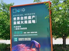 -盐城丹顶鹤湿地生态旅游区