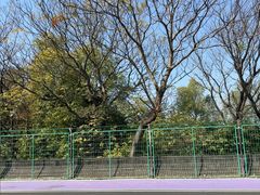 -广州市紫泥堂文化创意园景区