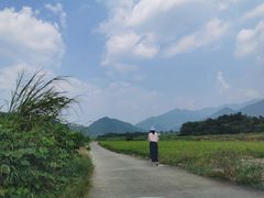 -罗坑大草原