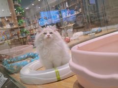 -狗道宠物(常熟印象城店)