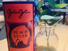 -gaga(深圳福田星河COCO Park店)