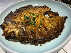 -洞庭家宴·头牌甲鱼(广渠门店)