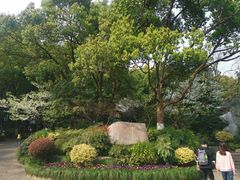 -杭州半山国家森林公园