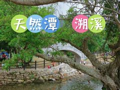 -杨梅坑