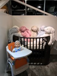 -国际蓝孩(将台路店)